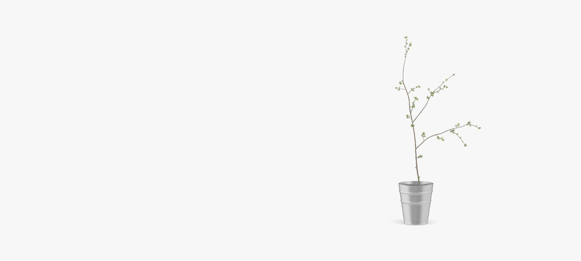 Flower Background